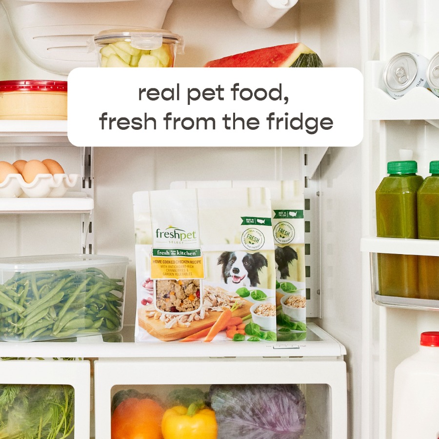4 pack Fresh Dog Food, Fresh F - Home Cooking Recipes บทวิจารณ์และราคา